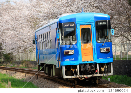 Cherry blossoms in full bloom and rail bus (Amagi Railway AR300 type) 124690024