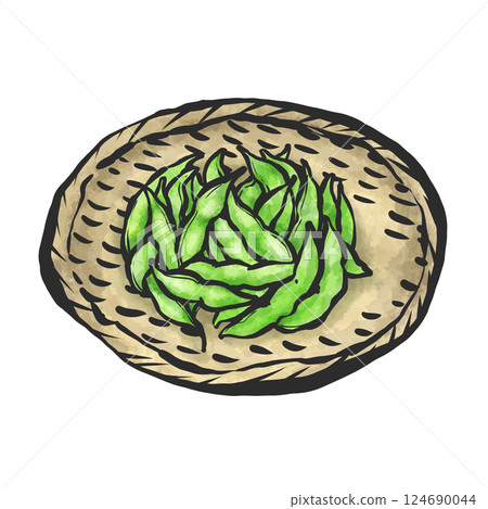 毛豆的手繪插圖 124690044