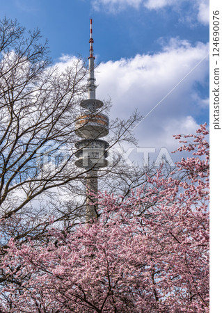 Cherry blossoms in Munich, Germany. Pink cherry blossoms with a Cherry blossoms in Munich, Germany. Pink cherry blossoms with a 124690076