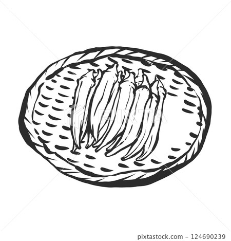 Hand-drawn brush-style illustration of okra 124690239