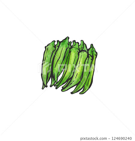 Hand-drawn brush-style illustration of okra 124690240