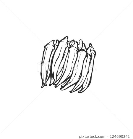 Hand-drawn brush-style illustration of okra 124690241