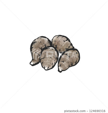 芋頭手繪插畫 芋頭手繪插畫 124690316