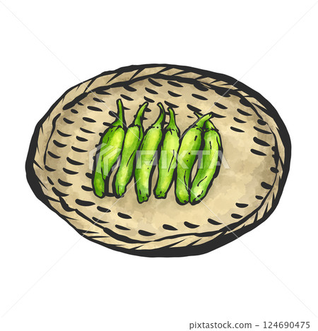 Hand-drawn brush-style illustration of shishito peppers 124690475