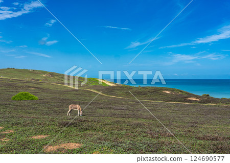 Trail along the coast and beaches from Jericoacoara to Pedra Furada in Ceara State, Brazil. Trail along the coast and beaches from Jericoacoara to Pedra Furada in Ceara State, Brazil. 124690577