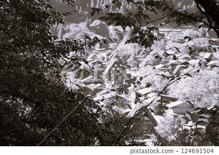 萩町合掌造村 白川鄉茅草屋頂 萩町城跡 瞭望台 瞭望台 散步道 萩町合掌造村 白川鄉茅草屋頂 萩町城跡 瞭望台 瞭望台 散步道 124691504