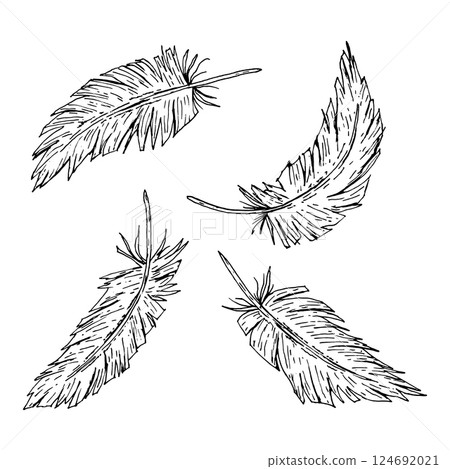 Vector set of four hand drawn feathers in monochrome ink style. Ideal for boho wedding decor, rustic farm branding, tribal motifs, nature prints, textile patterns, and ethnic-inspired celebrations. 124692021