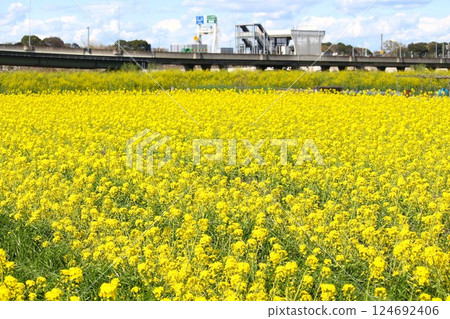 見沼的春天和首都高速公路入口 見沼的春天和首都高速公路入口 124692406