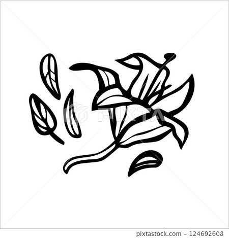 Vector doodle hand drawn lily with leaves.  124692608