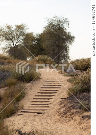 Deserted trail with the wooden stairs in a park, sandy road for walks. Daytime photo, summer Deserted trail with the wooden stairs in a park, sandy road for walks. Daytime photo, summer 124692741