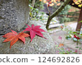 秋天的落葉，落在石頭上 124692826