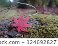 落在青苔的秋葉 124692827