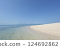 白色的沙灘、蔚藍的海和飛鳥 124692862