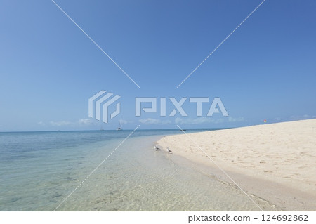 白色的沙灘、蔚藍的海和飛鳥 124692862
