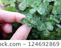 四葉草在手 124692869