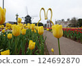 黃色鬱金香領域 124692870