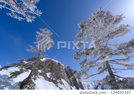 Trees covered in frost and Mount Kengamine in Joshu 124693187