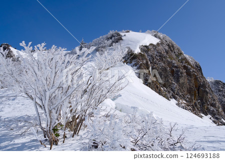Hoarfrost and Mount Kengamine 124693188