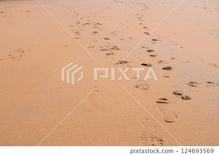Footprints on sandy beach with gentle waves in natural light 124693569