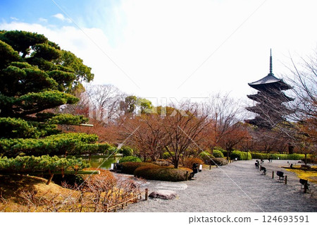 京都府,東寺與花園,五重塔,京都市南區九條町,2022 年 2 月 京都府,東寺與花園,五重塔,京都市南區九條町,2022 年 2 月 124693591