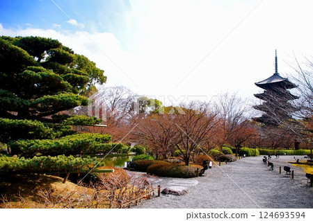 Kyoto Prefecture, Toji Temple and Garden, Five-story Pagoda, Kujo-cho, Minami-ku, Kyoto City, February 2022 Kyoto Prefecture, Toji Temple and Garden, Five-story Pagoda, Kujo-cho, Minami-ku, Kyoto City, February 2022 124693594