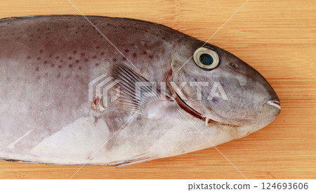 A close-up view of a reticulate unicornfish or Naso reticulatus resting on a wooden surface, highlighting its scales, eye, and fin 124693606