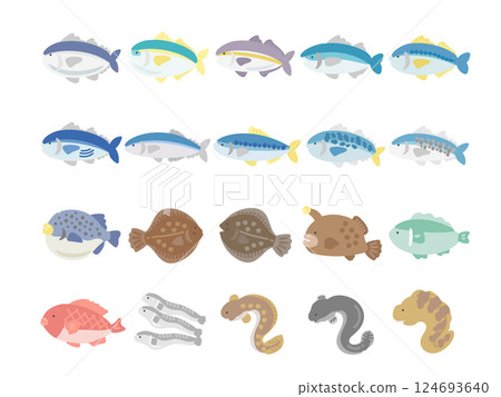 Fish type illustration set 124693640