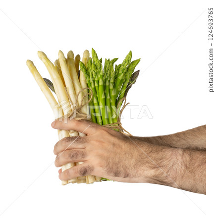 Raw Garden Asparagus, Fresh Green Spring Vegetables, Asparagus Officinalis Edible Sprouts Raw Garden Asparagus, Fresh Green Spring Vegetables, Asparagus Officinalis Edible Sprouts 124693765