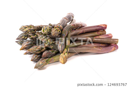 Purple Asparagus Isolated, Raw Garden Vegetables Bunch, Fresh Edible Sprouts of Red Asparagus Officinalis Purple Asparagus Isolated, Raw Garden Vegetables Bunch, Fresh Edible Sprouts of Red Asparagus Officinalis 124693767
