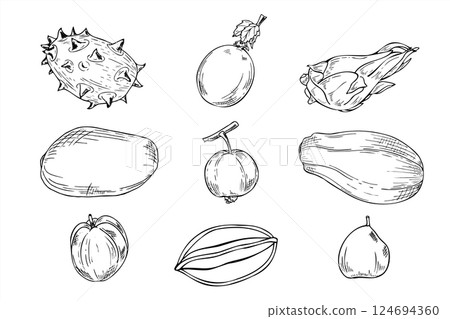 American, Asian exotic fruits vector isolated illustration clip art painted by black inks. Horned melon, mango, papaya, dragon fruit, carambola or starfruit, guava, and passion fruit set sketch. 124694360