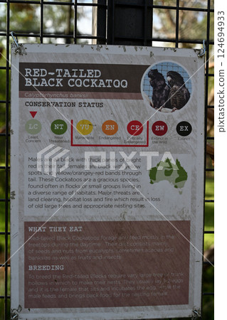 馬丘維達利亞省莫爾本 - 2023年6月1日：馬丘莫爾本月光保護區（動物介紹委員會） 124694933