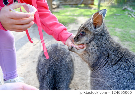 Aozhou Mo'er Ben Moonlight Protection Area 124695000