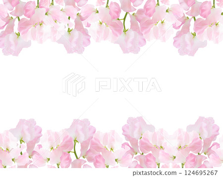 春天鮮花框 可愛的背景材料 淡粉紅色 香豌豆 頂部和底部的線條 124695267