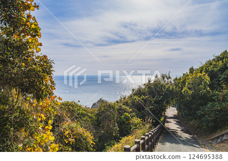 The road leading to the sea at Irago in Tahara City (Aichi Prefecture) The road leading to the sea at Irago in Tahara City (Aichi Prefecture) 124695388