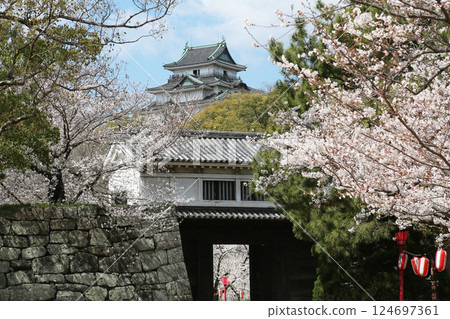 Wakayama Castle with cherry blossoms in full bloom, photographed from the Okaguchi Gate, Wakayama City Wakayama Castle with cherry blossoms in full bloom, photographed from the Okaguchi Gate, Wakayama City 124697361