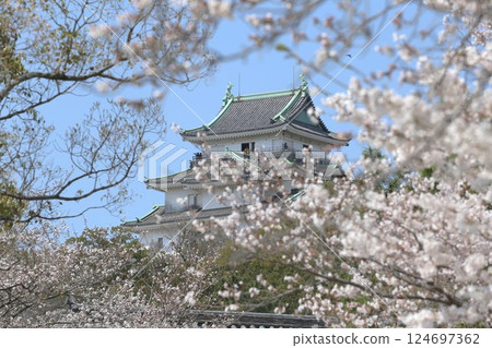 從和歌山市岡口門拍攝的櫻花盛開的和歌山城 124697362