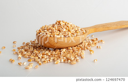 Wheat Grains, Barley Pile, Dry Cereal Seeds, Wheat Grains Heap on White 124697470