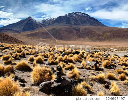 Bolivia Highlands, Altiplano plateau. Volcano Canapa in Andes, Bolivia Highlands, Altiplano plateau. Volcano Canapa in Andes, 124697497