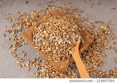 Milk thistle seeds, silybum marianum grains, dry blessed milkthistle fruits, variegated thistle kernels Milk thistle seeds, silybum marianum grains, dry blessed milkthistle fruits, variegated thistle kernels 124697564