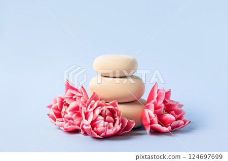 Concept scene stage showcase for new product, banner, promotion sale, cosmetic, presentation. Wood slice podium, spring pink and white tulip flowers on blue background. 124697699