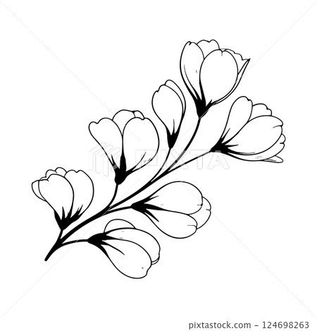Floral Blossom Elements. Black-and-white contour illustrations of blooming flowers that add refinement to compositions. Floral Blossom Elements. Black-and-white contour illustrations of blooming flowers that add refinement to compositions. 124698263