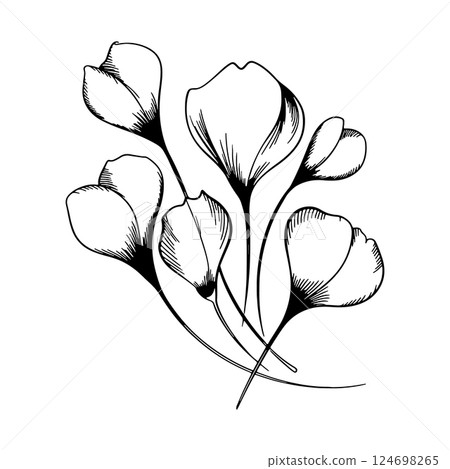Floral Blossom Elements. Black-and-white contour illustrations of blooming flowers that add refinement to compositions. Floral Blossom Elements. Black-and-white contour illustrations of blooming flowers that add refinement to compositions. 124698265
