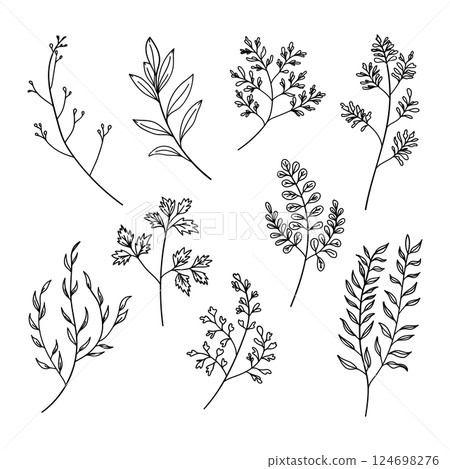 A collection of simple botanical illustrations with minimalistic leaves and floral elements. Ideal for modern logos, branding, packaging, and invitations. A collection of simple botanical illustrations with minimalistic leaves and floral elements. Ideal for modern logos, branding, packaging, and invitations. 124698276
