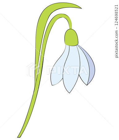 Snowdrop flower close-up in flat style. Vector illustration isolated on white background. Snowdrop flower close-up in flat style. Vector illustration isolated on white background. 124698521