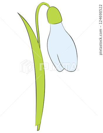 Snowdrop flower close-up in flat style. Vector illustration isolated on white background. Snowdrop flower close-up in flat style. Vector illustration isolated on white background. 124698522