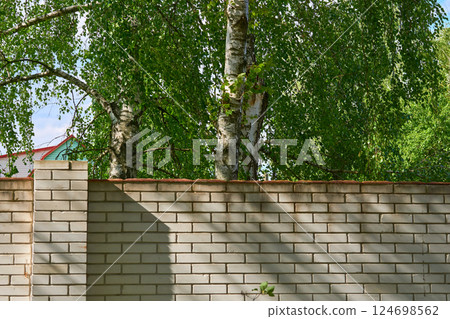White brick fence, spring birches with young leaves White brick fence, spring birches with young leaves 124698562