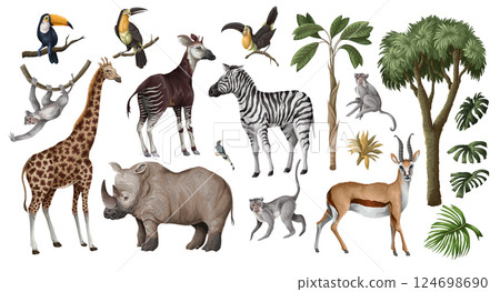 Jungle animals and trees isolated. Palm trees, giraffe, okapi, zebra etc. Vector. Jungle animals and trees isolated. Palm trees, giraffe, okapi, zebra etc. Vector. 124698690