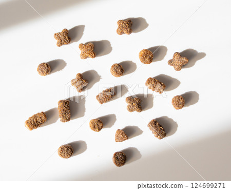 Dry pet food in sunlight, dog kibble pile, scattered puppy pellets, small canine protein croquette 124699271