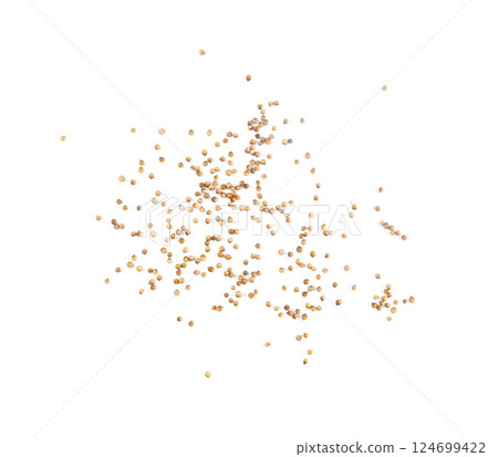 Coriander Seeds Isolated, Cilantro Grains, Chinese Parsley Seed Group, Dry Spices, Seasonings 124699422