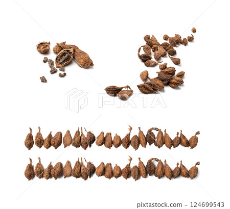 Black Cardamom Seeds Isolated, Brown Cardamon, Dry Kardamon Fruits, Cardamum Spice, Cardamomum 124699543